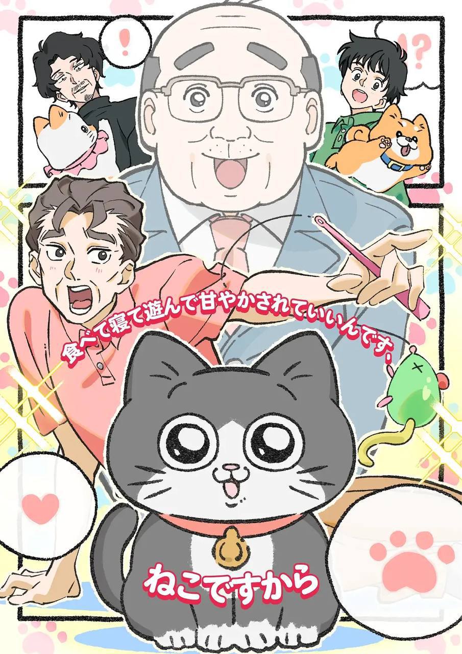 转生成猫的大叔(2024) 更新至43集 封面